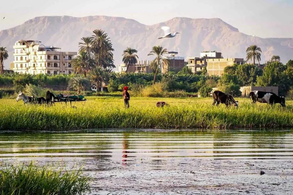 Luxor rural village Nile sunset traditional life
